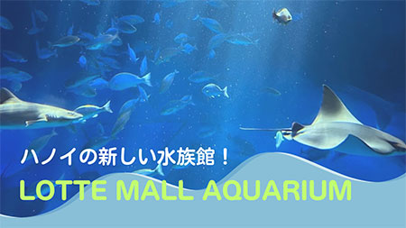 ハノイにできた新しい水族館！ロッテワールドアクアリウム